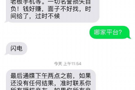 张北为什么选择专业追讨公司来处理您的债务纠纷？